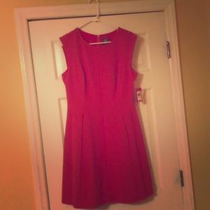 Gorgeous pink Vince Camuto scuba fit and flare